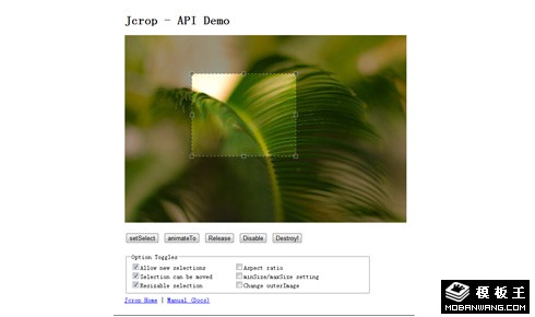 jquery截图插件Jcrop